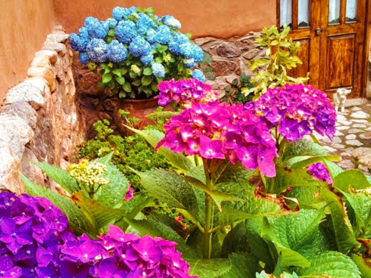 Lizzy Wasi Urubamba Hotel Ngoại thất bức ảnh
